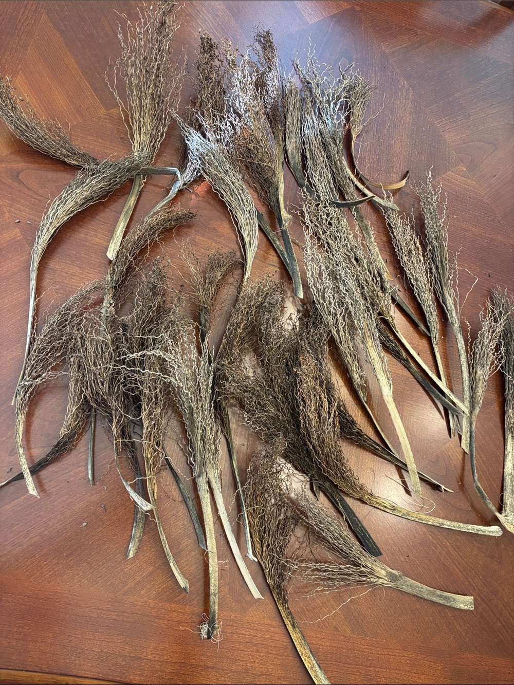 Natural Brown floral decor - natural Plant material from palm trees.